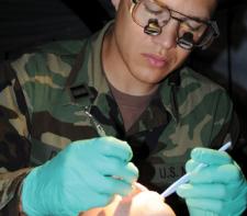 Army dentistry Army dentistry