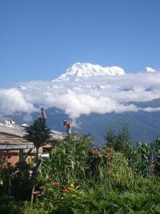 dentistry-volunteering-nepal dentistry-volunteering-nepal