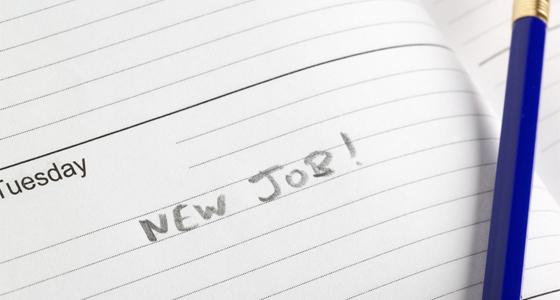 new-job new-job