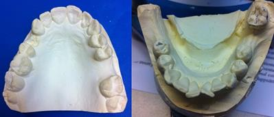 RPfigure_1 RPfigure_1