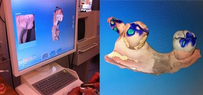 RPfigure_3 RPfigure_3