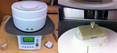 RPfigure_5 RPfigure_5