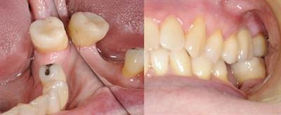 RPfigure_6 RPfigure_6