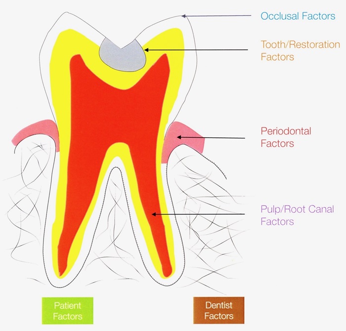 Figure 2 cropped